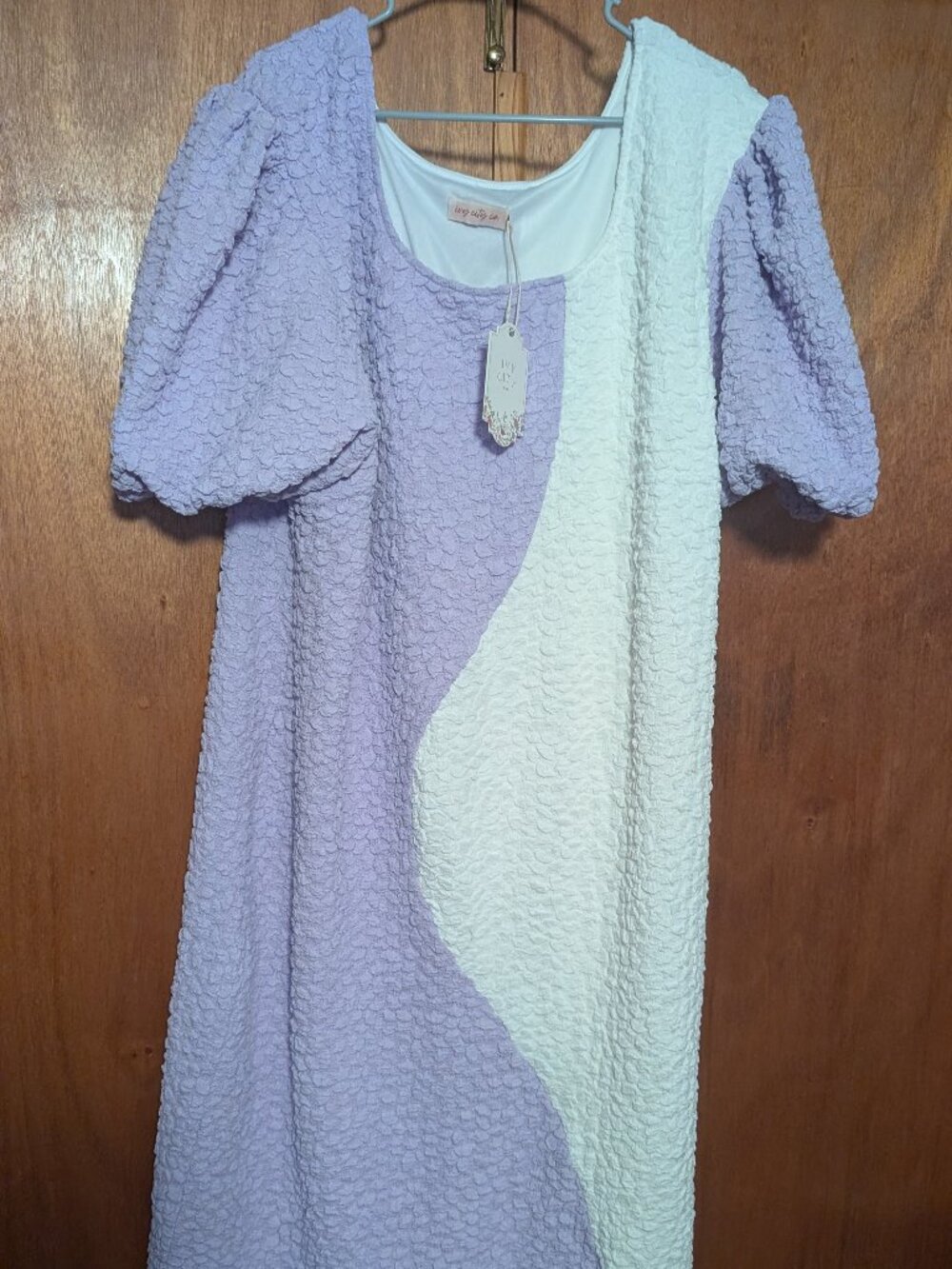 Ivy City Co Nova Dress